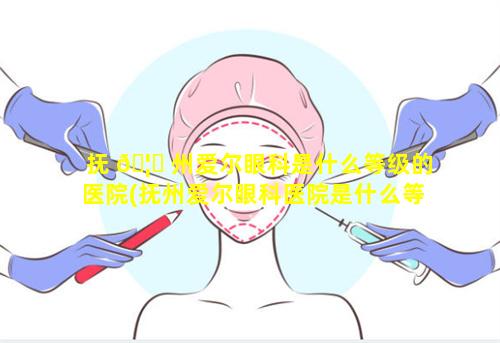 抚 🦄 州爱尔眼科是什么等级的医院(抚州爱尔眼科医院是什么等级医院)